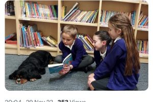 Screenshot_20240206_131103_X Screenshot_20240206_131103_X