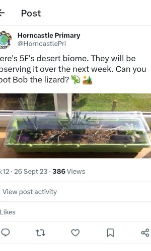 Screenshot_20240207_114707_X