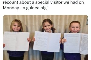 Screenshot_20240207_163510_X