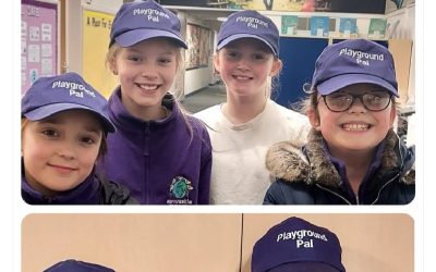 Screenshot_20240209_104012_X