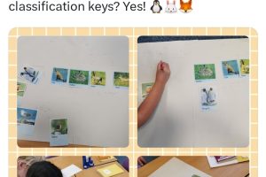 Screenshot_20240207_123104_X Screenshot_20240207_123104_X