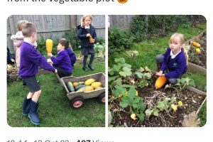 Screenshot_20240305_125617_X Screenshot_20240305_125617_X