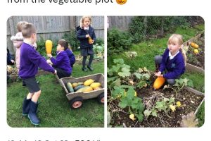 Screenshot_20240307_142835_X