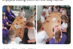 Screenshot_20240315_123050_X