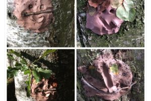 Screenshot_20240315_123058_X