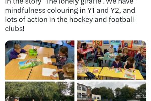 Screenshot_20240315_123443_X